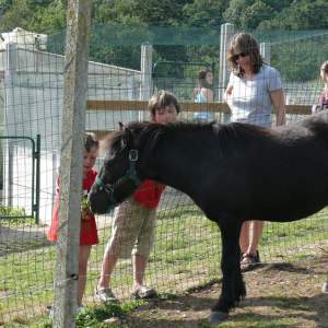 visite des poneys à la ferme