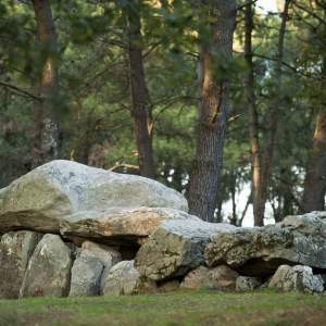 visite des tumulus et dolmens de la ville de Carnac en Bretagne