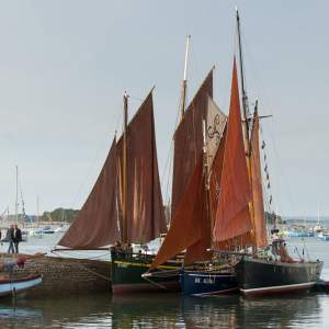 un groupe de bateaux typiquement bretons rhuys